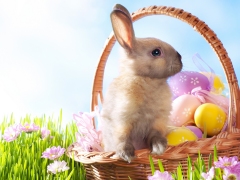 Paashaas in mand met paaseieren